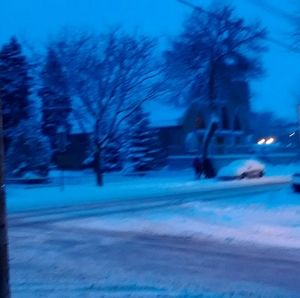 Meet your Posher, Finley